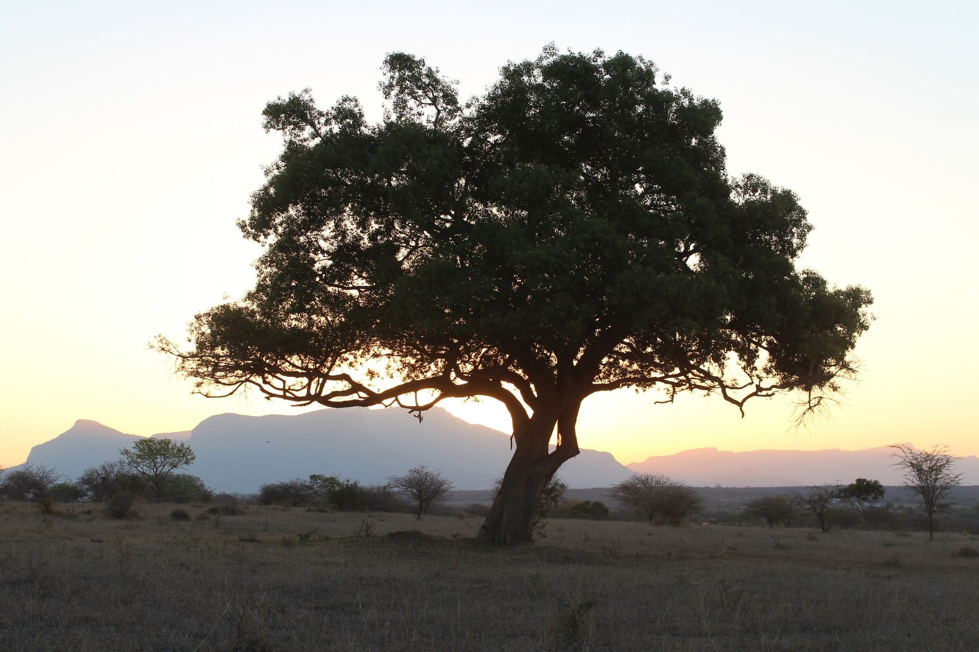 Thornhill Safari Lodge Hoedspruit Exteriér fotografie