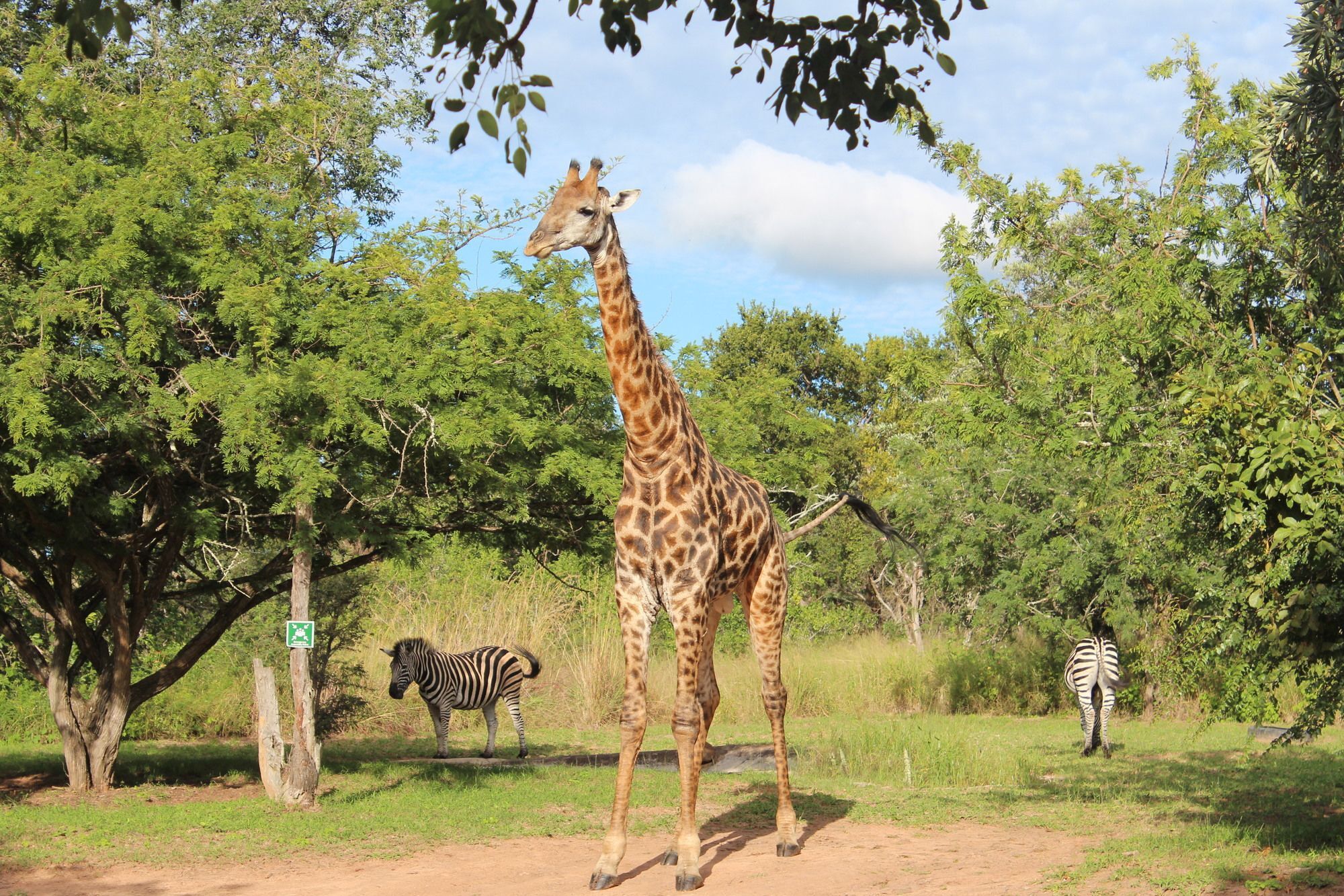Thornhill Safari Lodge Hoedspruit Exteriér fotografie